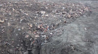 FORNACI DI FORUM POPILI: NUOVE PROSPETTIVE DI RICERCA
